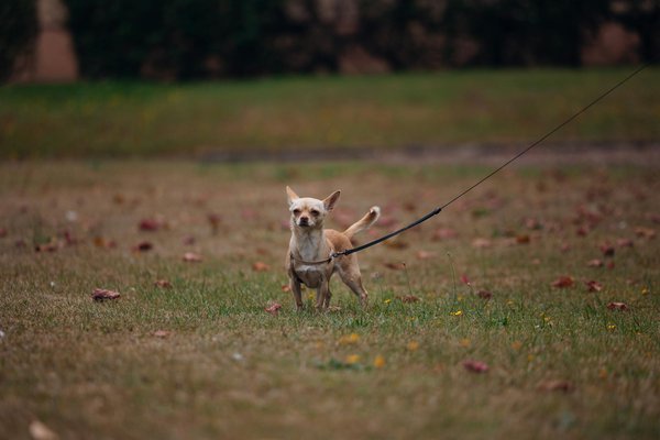 ¿Cuáles son las claves para desarrollar una estrategia de marketing omnicanal?